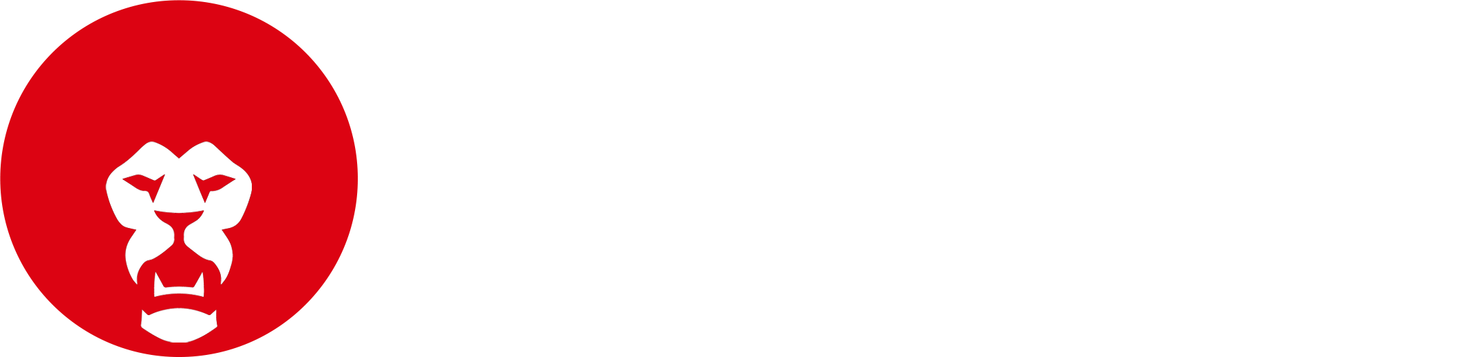 Logo MAXMAGIC by MAXAFRICA GROUP